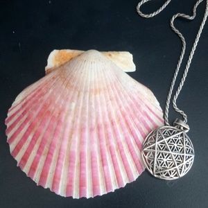 Spellbindah @tiktok divining shell